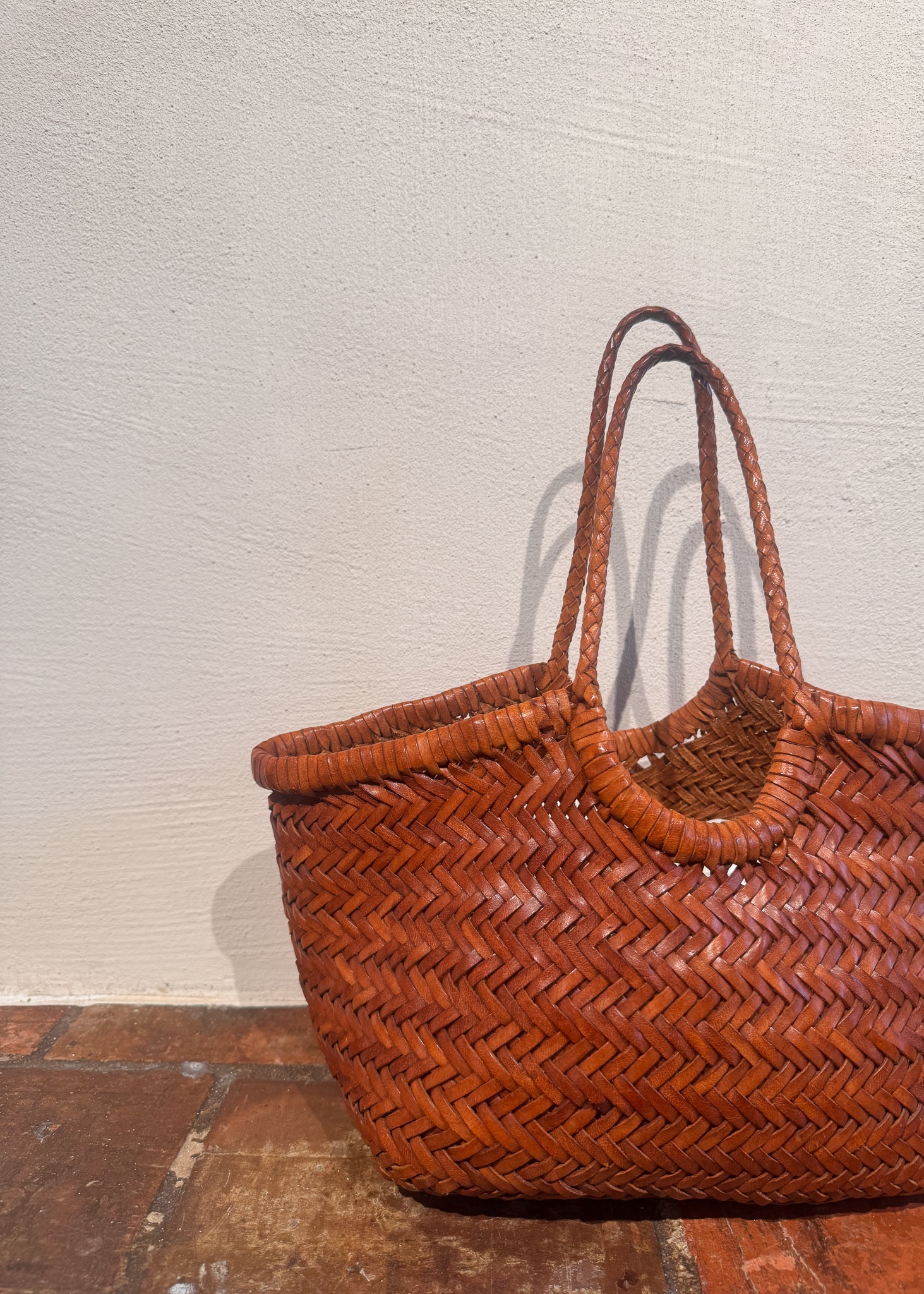 Dragon Diffusion bag